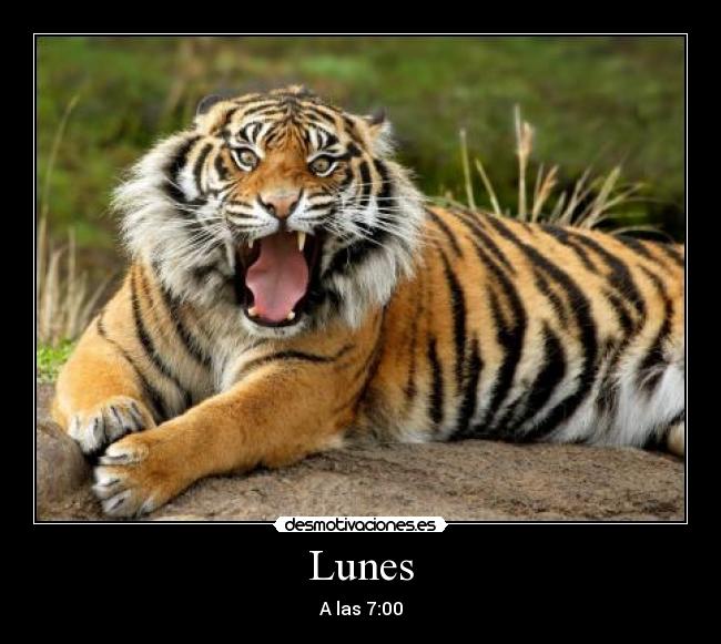 Lunes - 