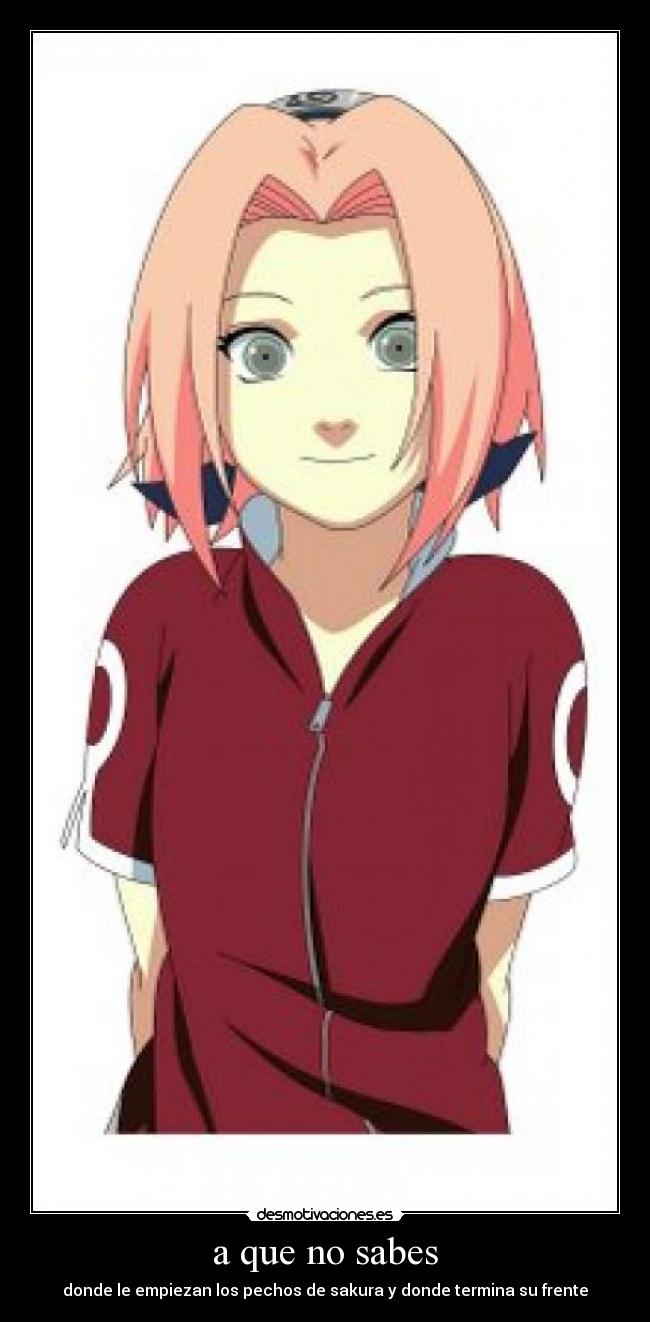 a que no sabes - donde le empiezan los pechos de sakura y donde termina su frente