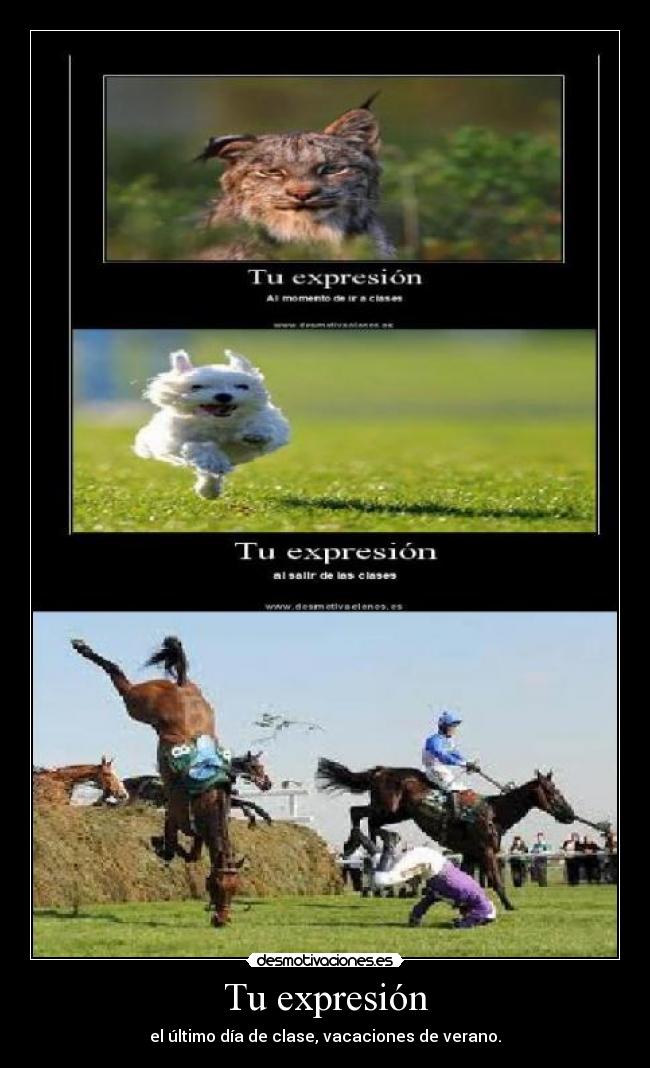 Tu expresión - el último día de clase, vacaciones de verano.