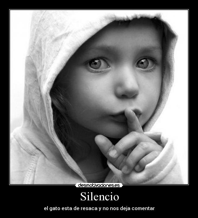 Silencio - el gato esta de resaca y no nos deja comentar