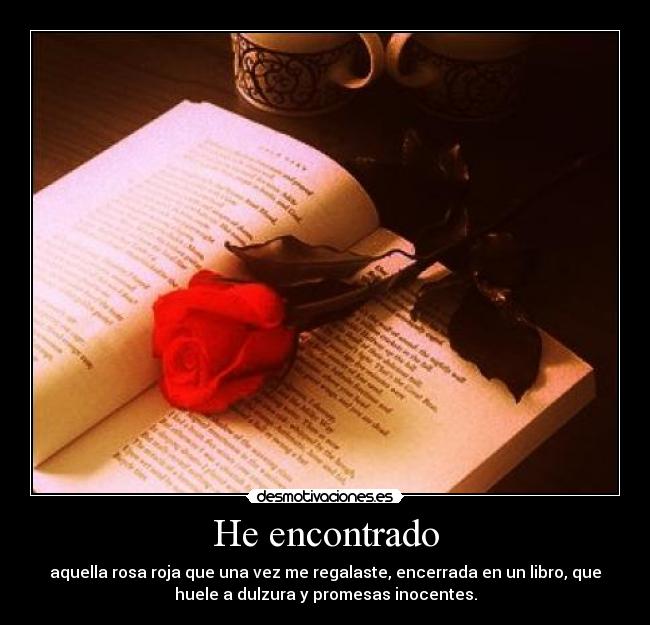 He encontrado - aquella rosa roja que una vez me regalaste, encerrada en un libro, que
huele a dulzura y promesas inocentes.