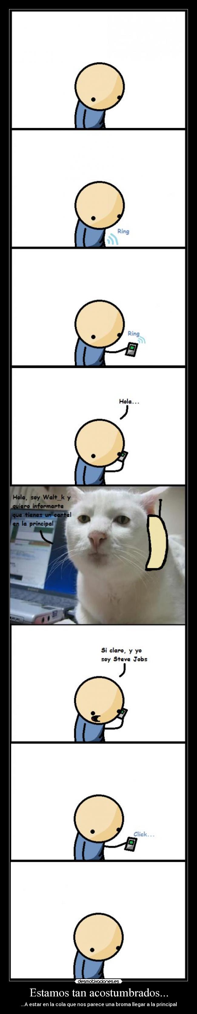 Estamos tan acostumbrados... -