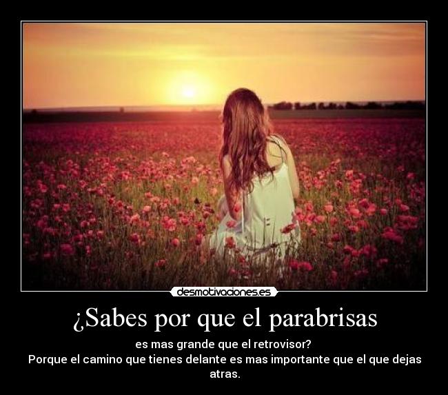 ¿Sabes por que el parabrisas - 