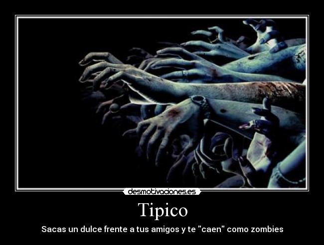 Tipico - 