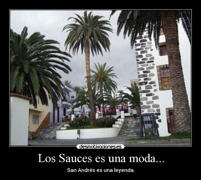 Los Sauces es una moda... - San Andrés es una leyenda.