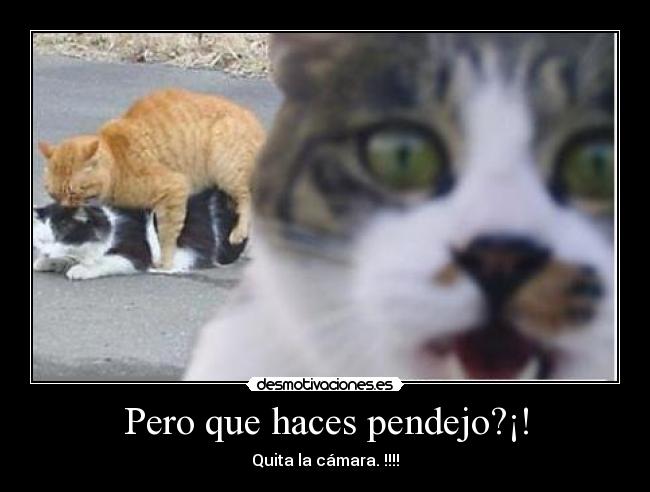 Pero que haces pendejo?¡! - Quita la cámara. !!!!