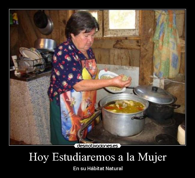 carteles mujer trolledsmile hitler dios quiero hijo tuyo los homosexuales estan enfermos las mujeres cocin desmotivaciones