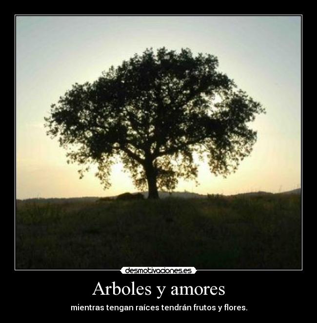 carteles refran guapo desmotivaciones