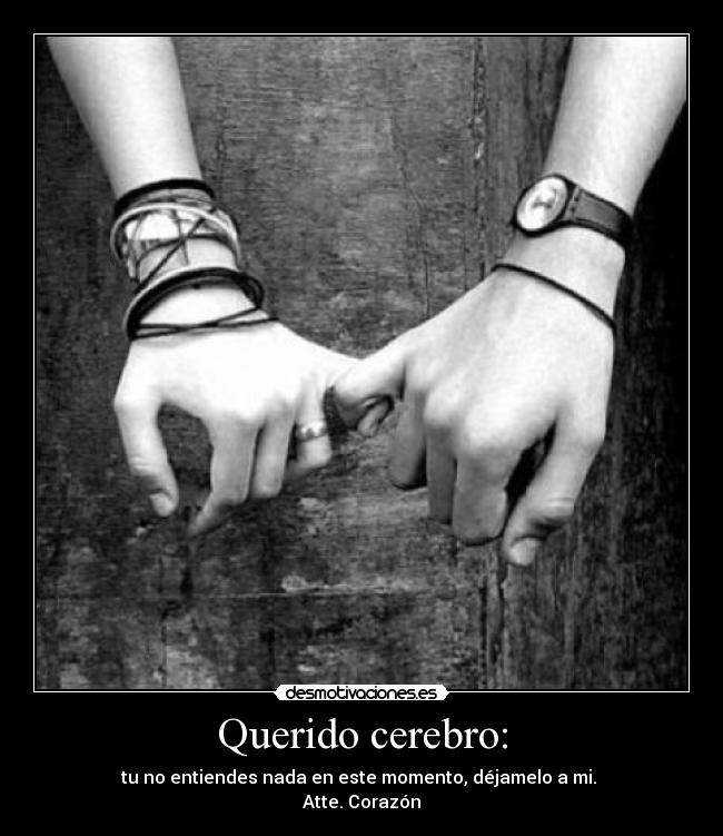 Querido cerebro: - tu no entiendes nada en este momento, déjamelo a mi.
Atte. Corazón
