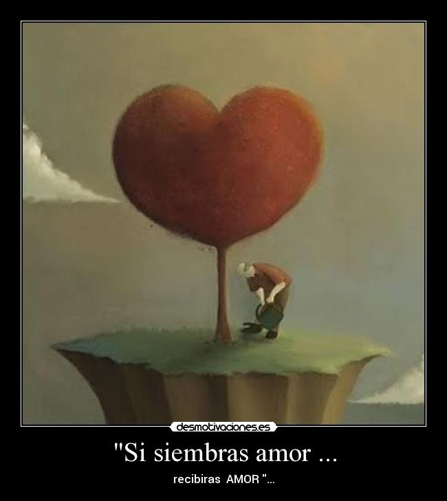 Si siembras amor ... -