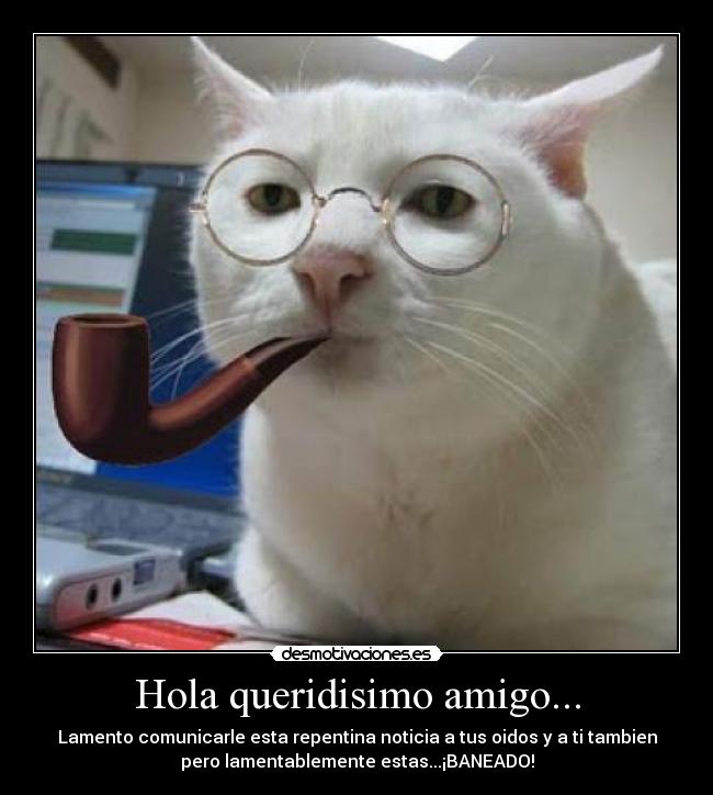 Hola queridisimo amigo... -