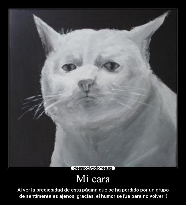Mi cara - Al ver la preciosidad de esta página que se ha perdido por un grupo
de sentimentales ajenos, gracias, el humor se fue para no volver :)