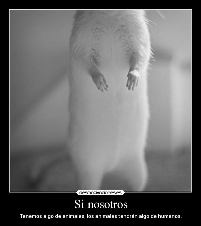 Si nosotros - Tenemos algo de animales, los animales tendrán algo de humanos.