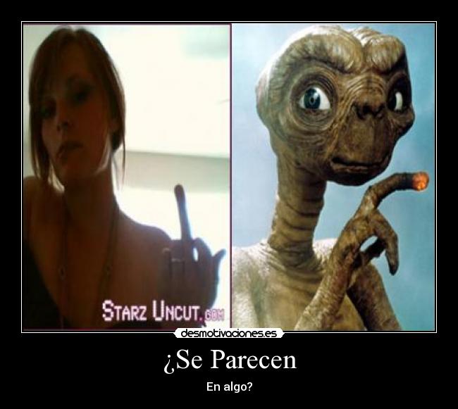 ¿Se Parecen - En algo?