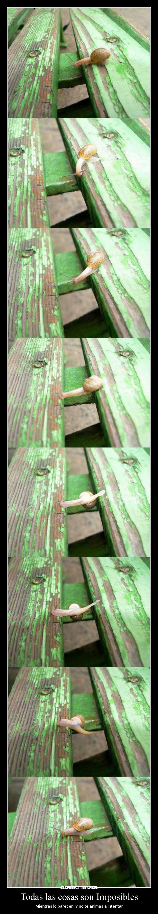 Todas las cosas son Imposibles - 