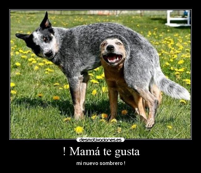 ! Mamá te gusta -
