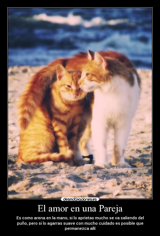 El amor en una Pareja - Es como arena en la mano, si lo aprietas mucho se va saliendo del
puño, pero si lo agarras suave con mucho cuidado es posible que
permanezca allí