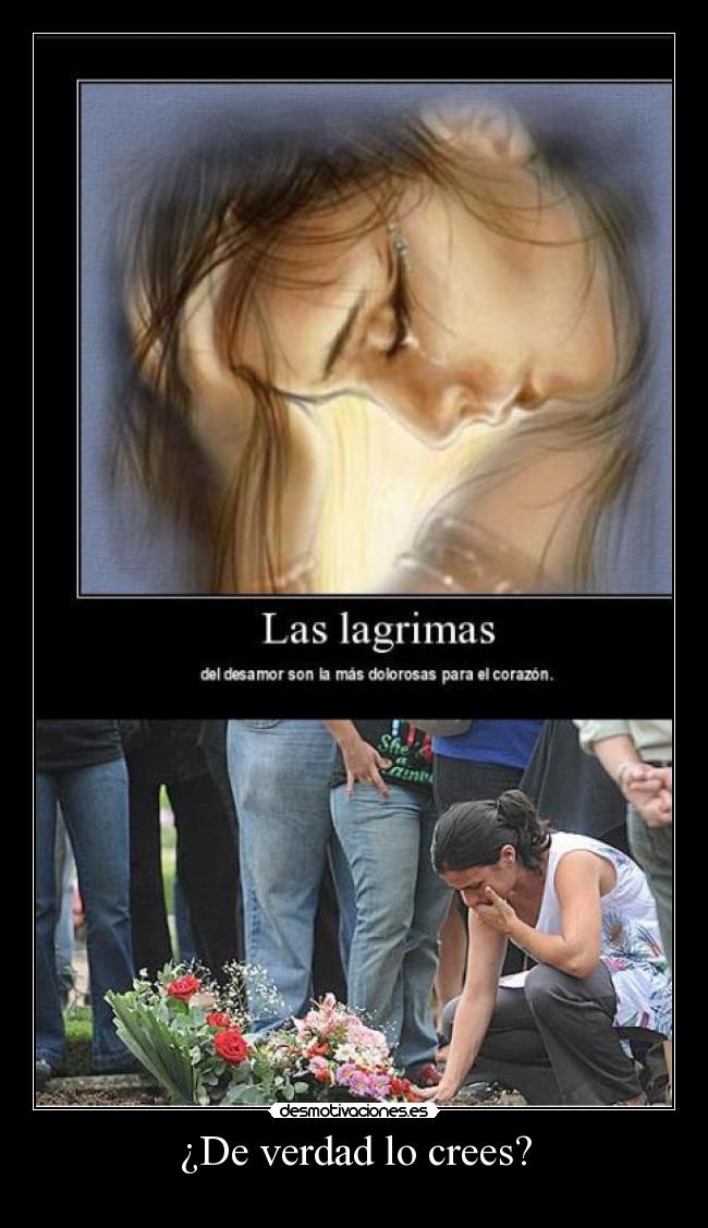 ¿De verdad lo crees? - 