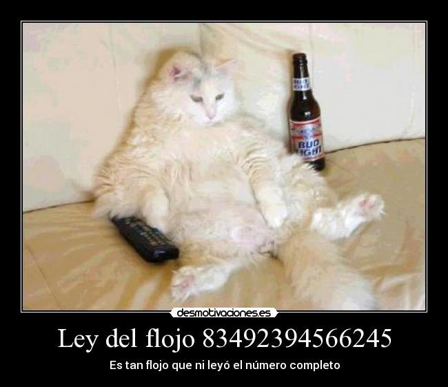 Ley del flojo 83492394566245 - Es tan flojo que ni leyó el número completo