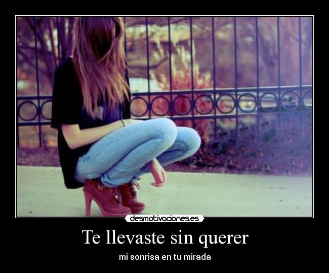 Te llevaste sin querer - 