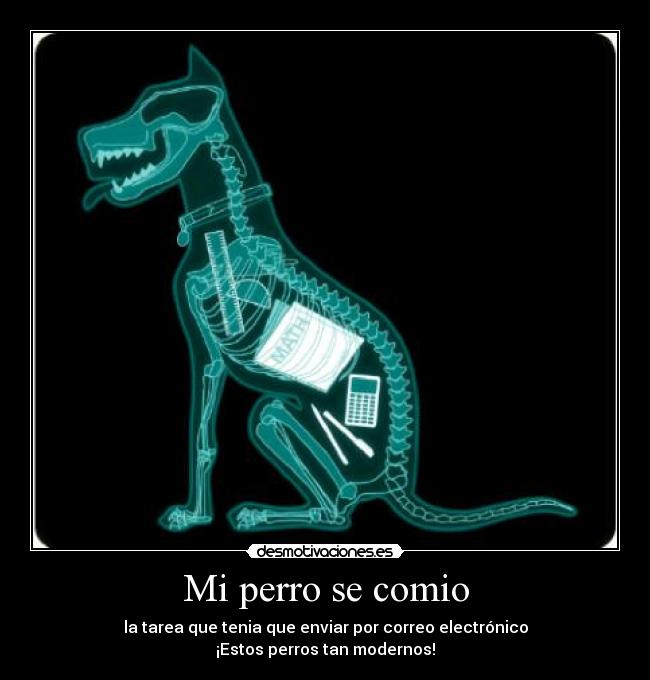 Mi perro se comio -