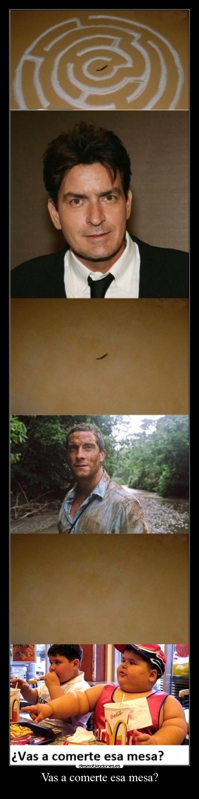 Vas a comerte esa mesa? -