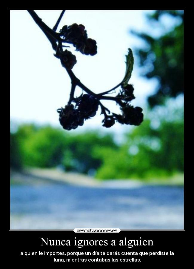 Nunca ignores a alguien -