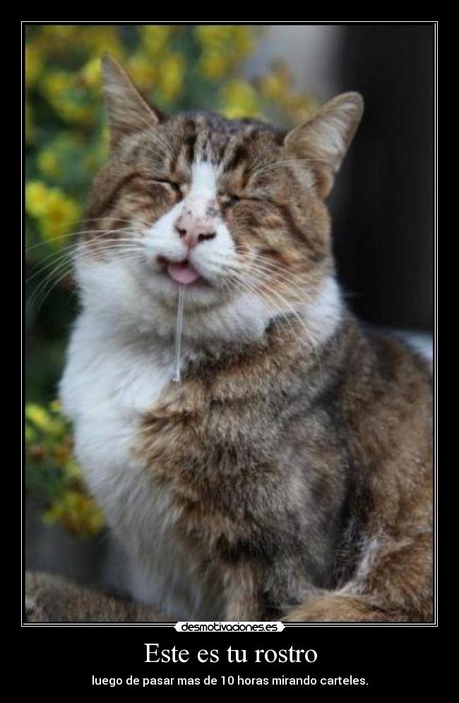 carteles juako40 desmotivaciones