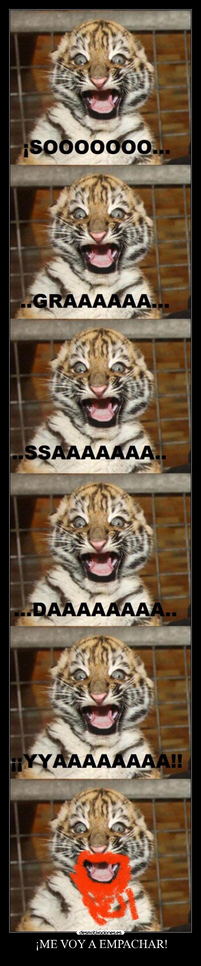 ¡ME VOY A EMPACHAR! -