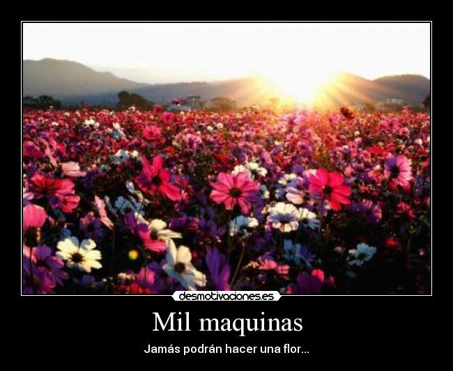 Mil maquinas - Jamás podrán hacer una flor...