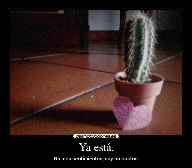 Ya está. - No más sentimientos, soy un cactus.