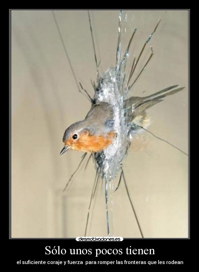 Sólo unos pocos tienen -