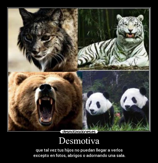 Desmotiva -