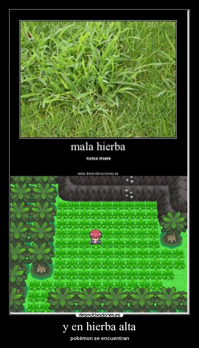 y en hierba alta - 
