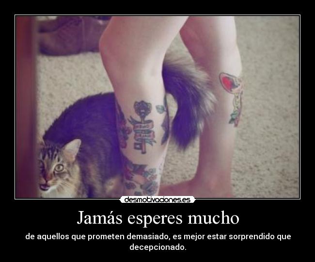 carteles promesas desmotivaciones