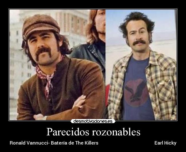 Parecidos rozonables -