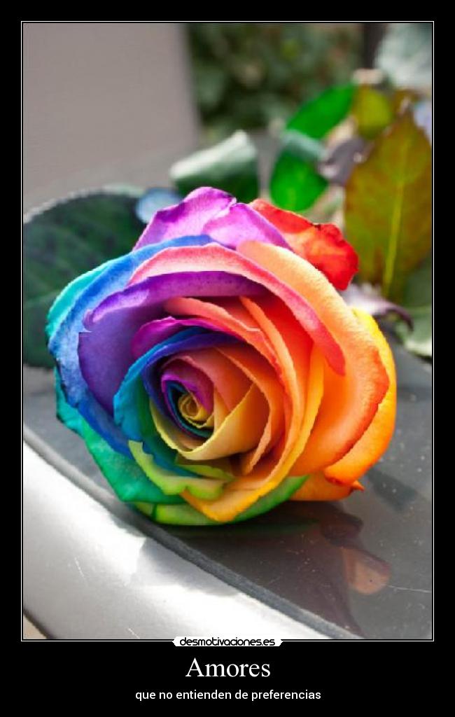 Amores - que no entienden de preferencias