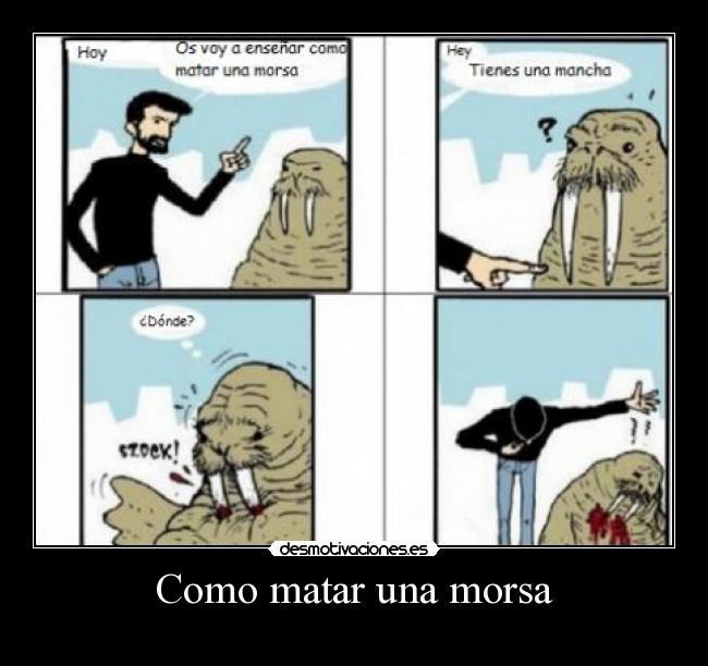 carteles fero83 rtpro traduccion hecha por selfe viva humor negro cabrones desmotivaciones