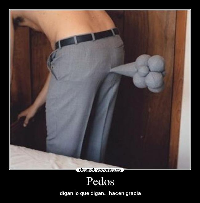 carteles pedos gracia gracioso olor mal desmotivaciones