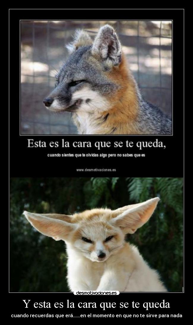 Y esta es la cara que se te queda - cuando recuerdas que erá......en el momento en que no te sirve para nada