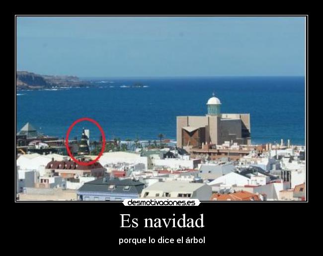 Es navidad - porque lo dice el árbol