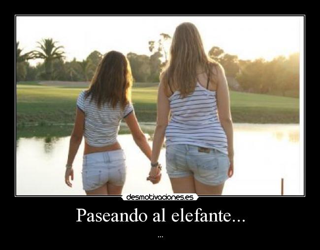 Paseando al elefante... - 