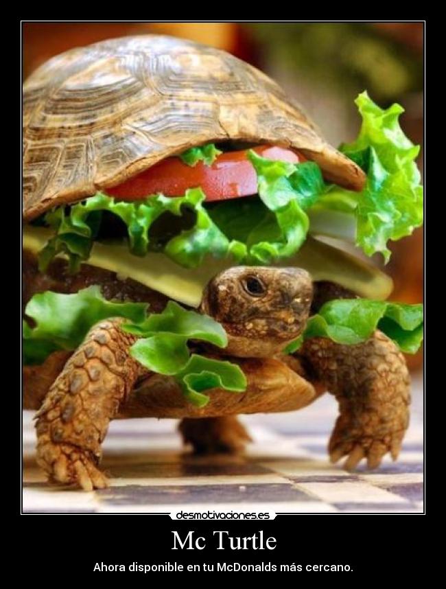 Mc Turtle - 
