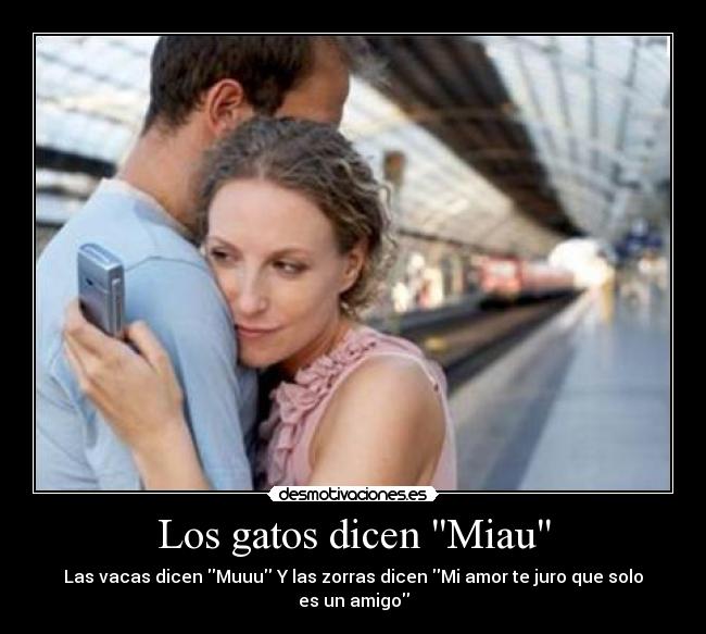 carteles gatos zorras desmotivaciones