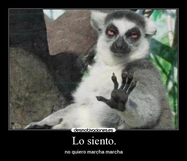 Lo siento. - 
