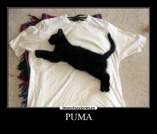 PUMA -