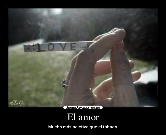 El amor -