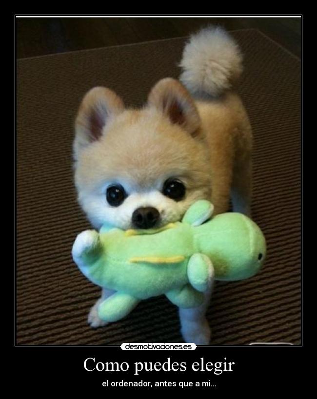 Como puedes elegir - 