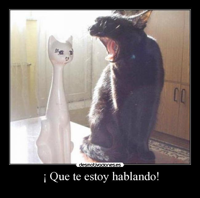 ¡ Que te estoy hablando! - 