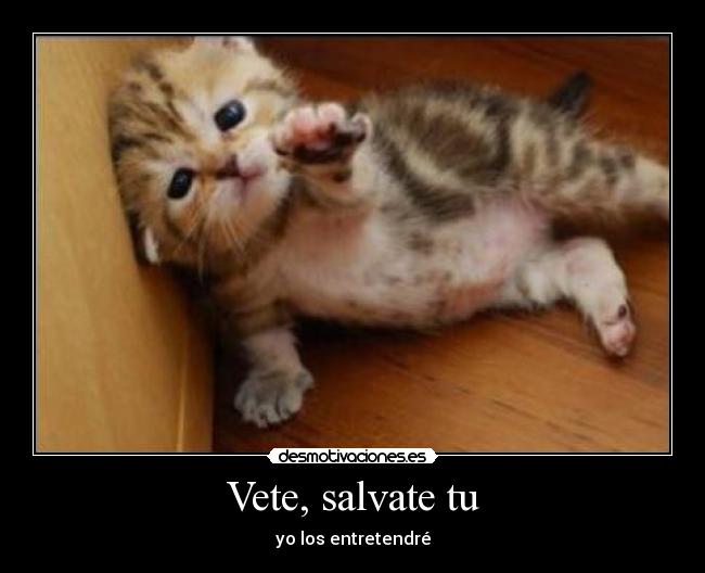 Vete, salvate tu -